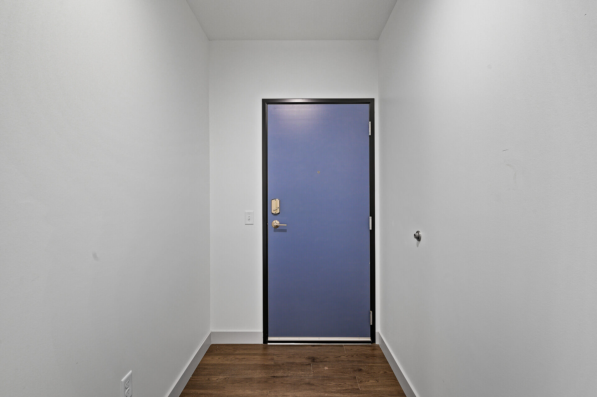 Entry with blue door and hardwood floors