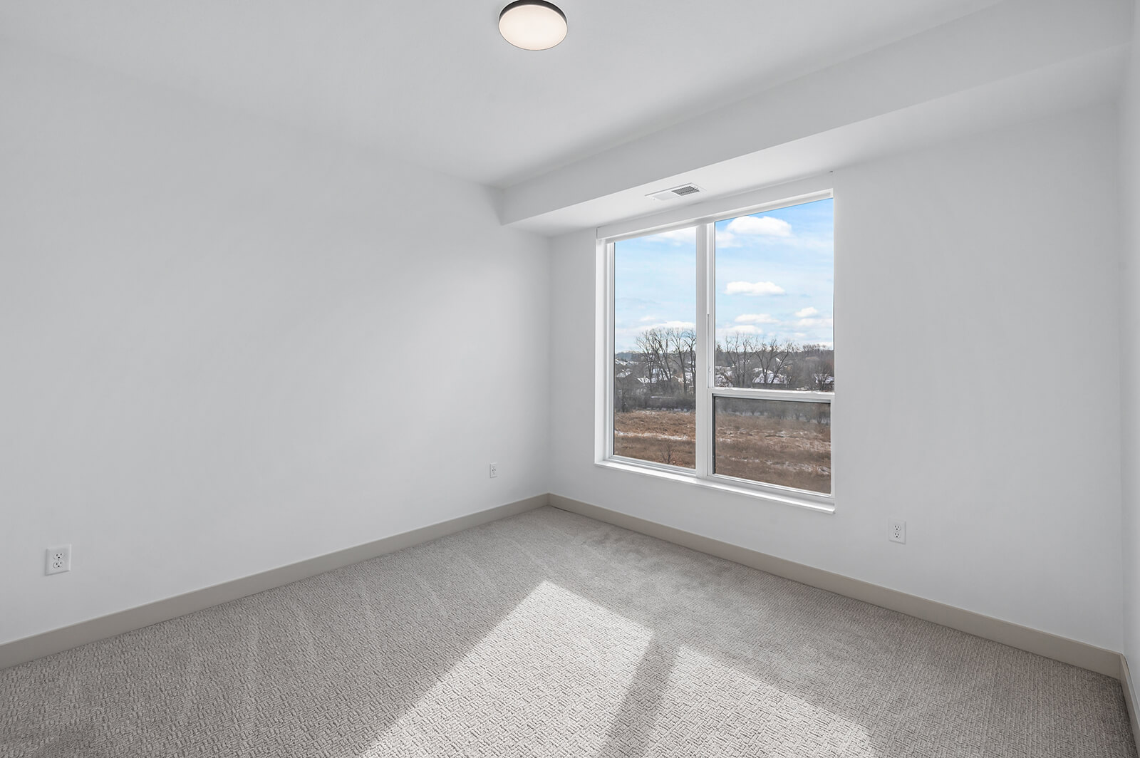 Bedroom with carpet and large window view
